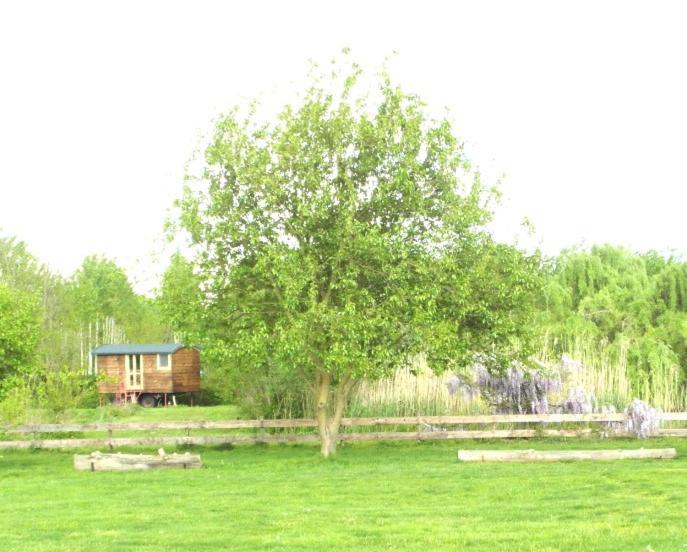 Casetta Sul Lago Albairate Exterior foto